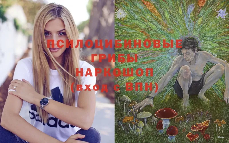 Галлюциногенные грибы Magic Shrooms  Курск 